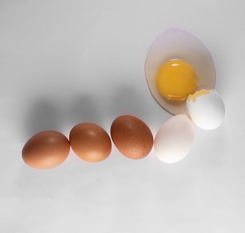 Get Enough Protein Each Day