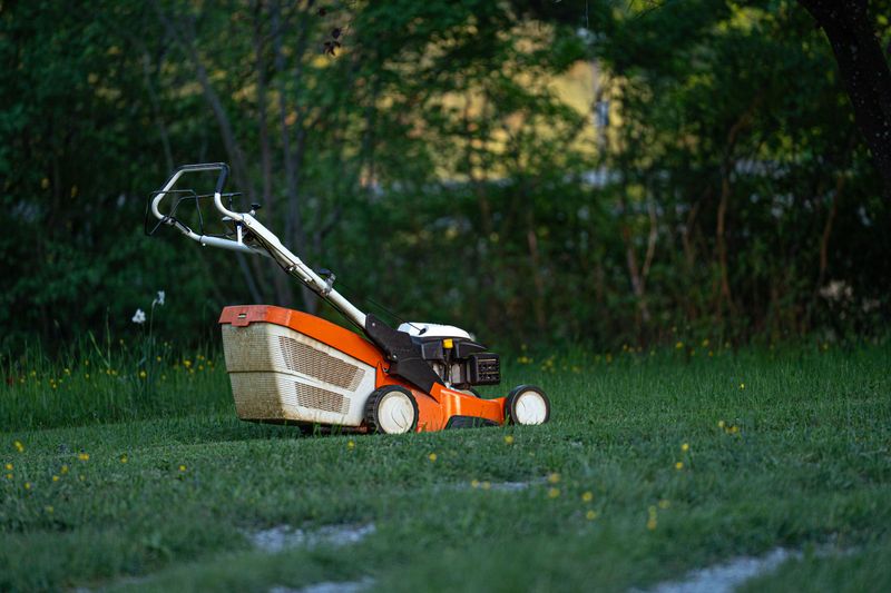 Mowing the Lawn with a Push Mower