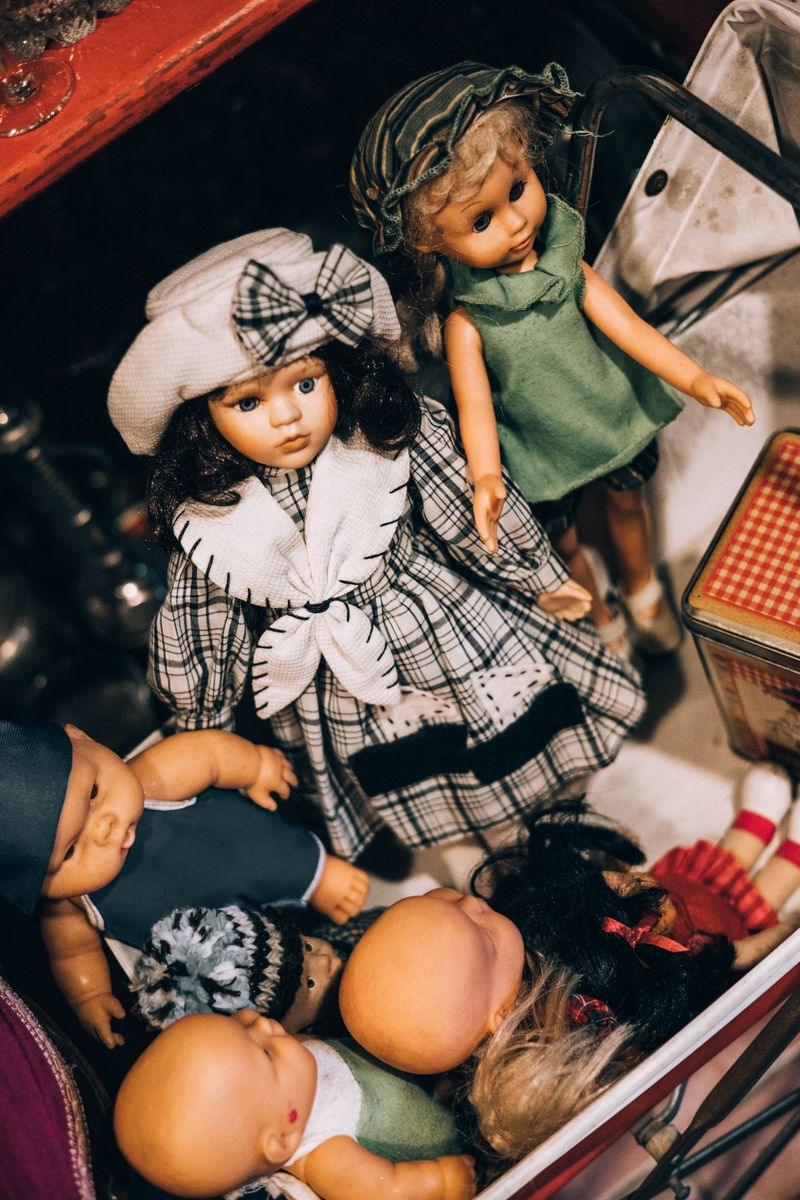 Reborn Doll Collecting