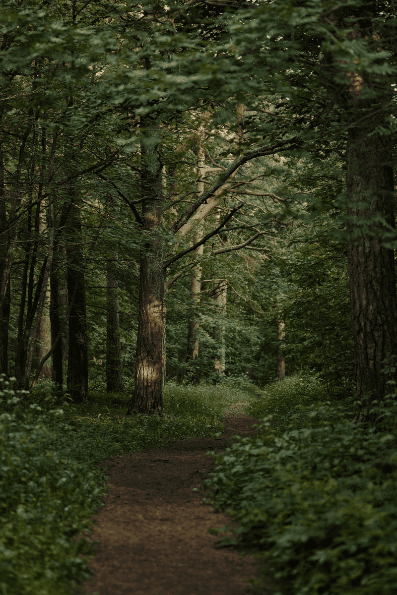 Secluded Parks or Trails