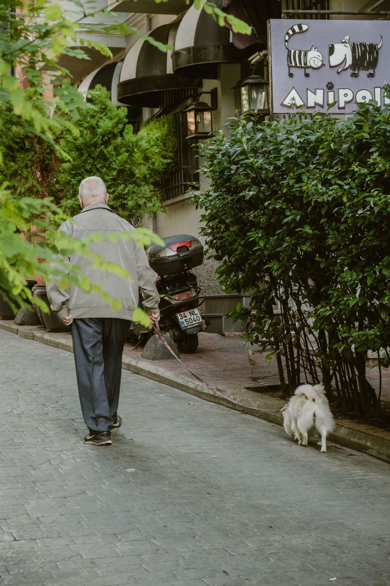 Taking Regular Walks
