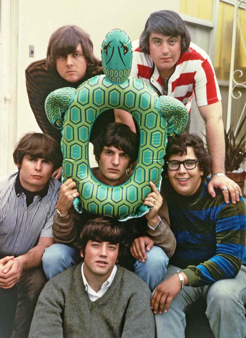The Turtles