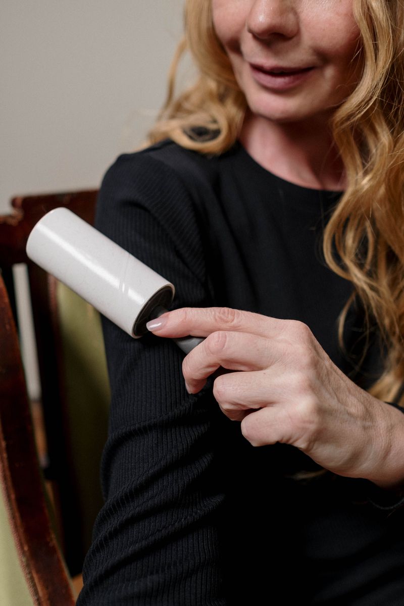 Visible Lint and Pet Hair
