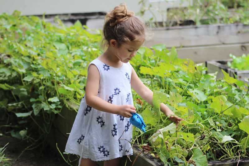 Weeding and Watering the Garden