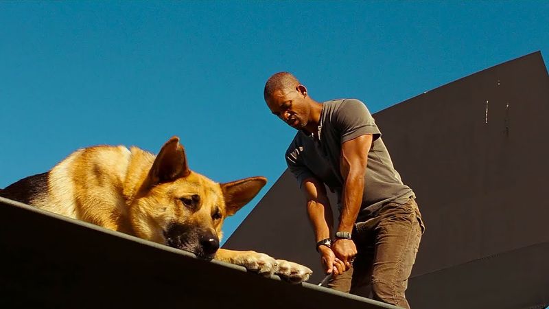 Dr. Robert Neville - I Am Legend (2007)