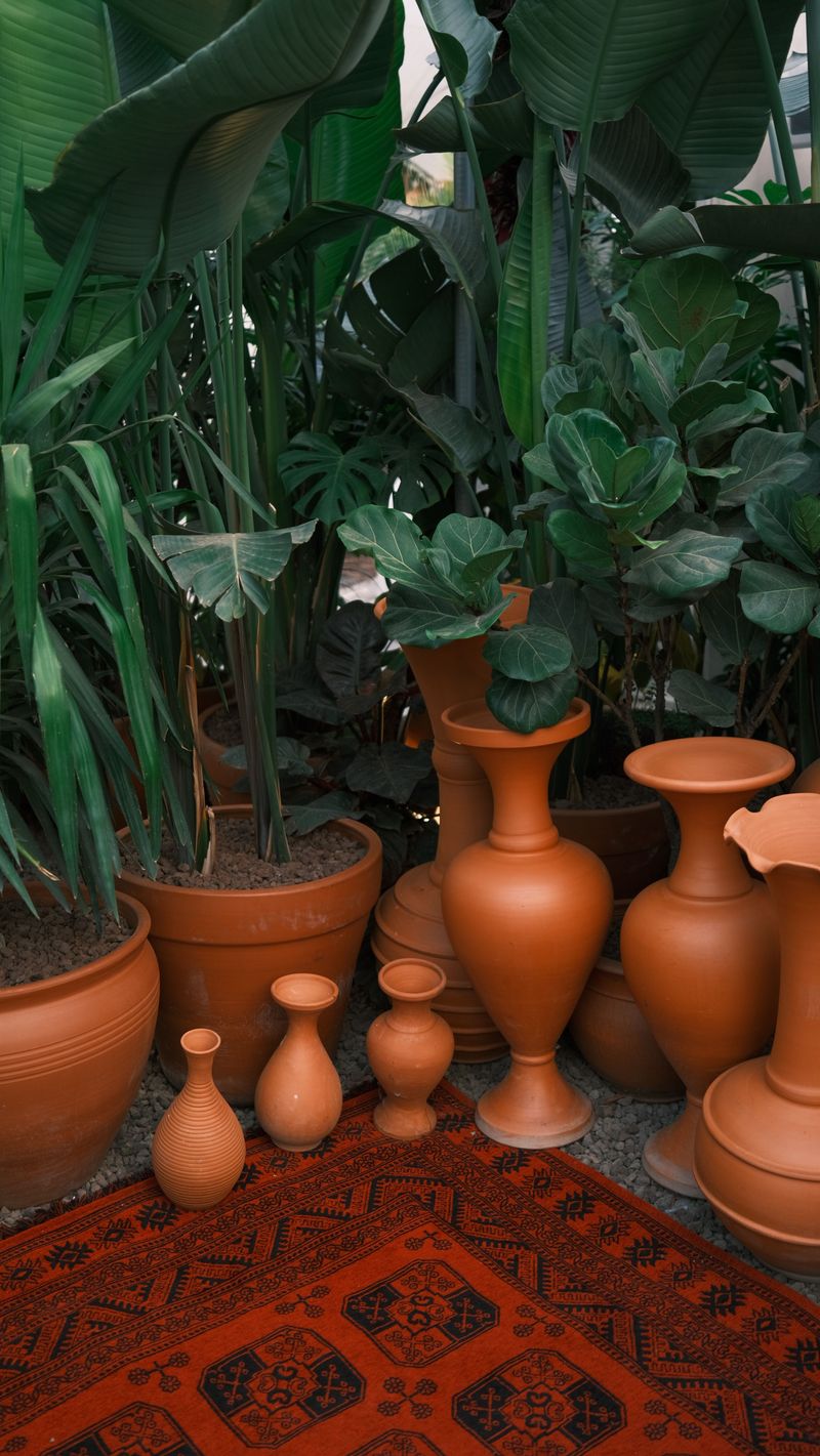 Earthy, Saturated Colors