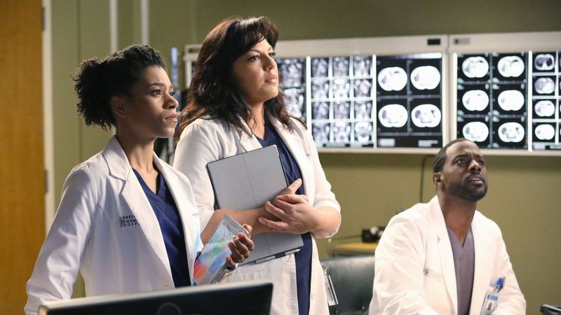 Grey's Anatomy - 23 Seasons