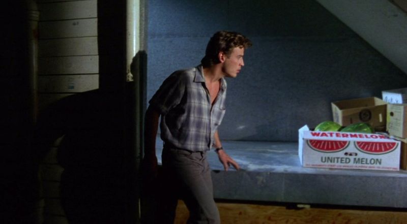 Intruder (1989)