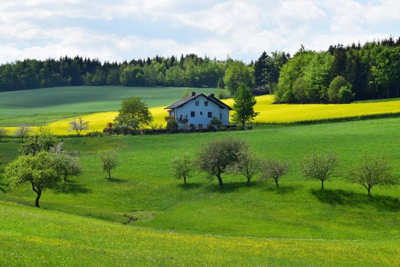 Living in the Countryside