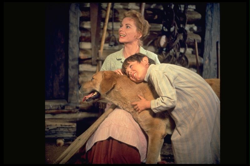 Old Yeller (1957)