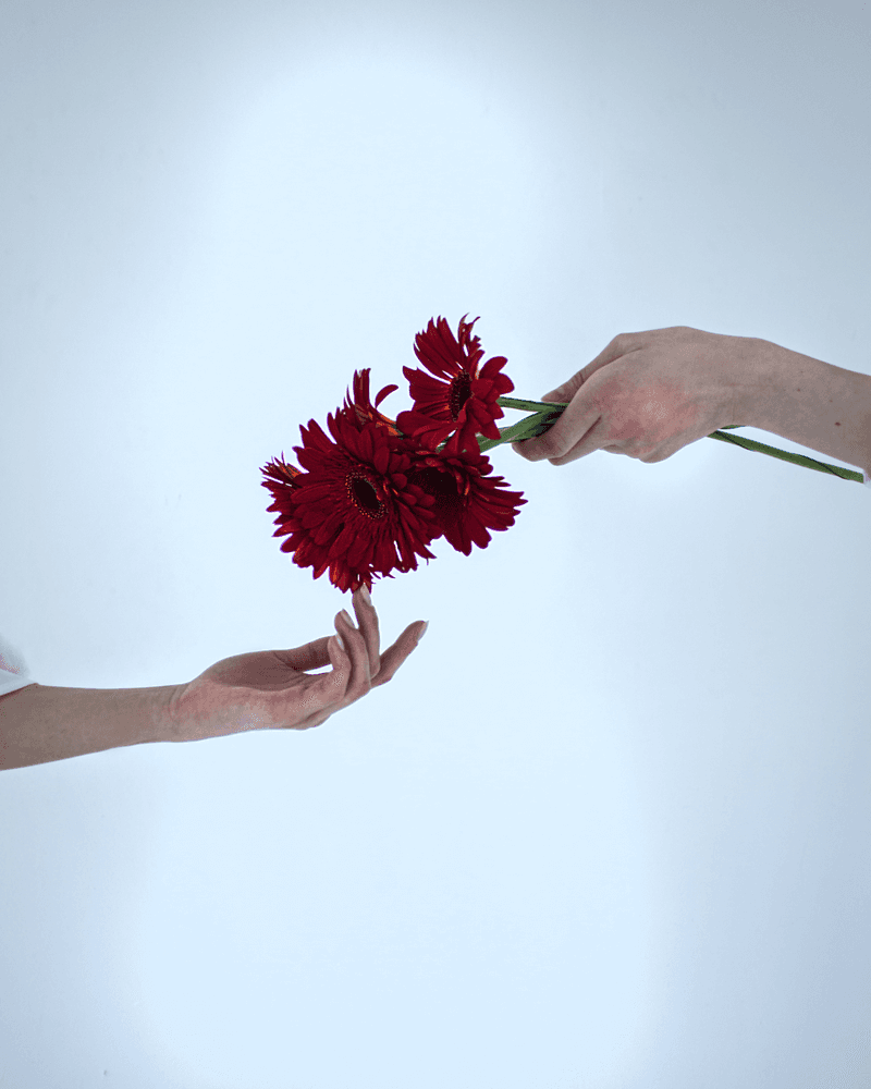 Taking Without Giving