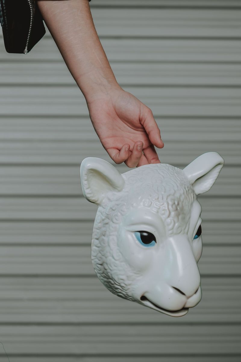 Masks That Block Vision