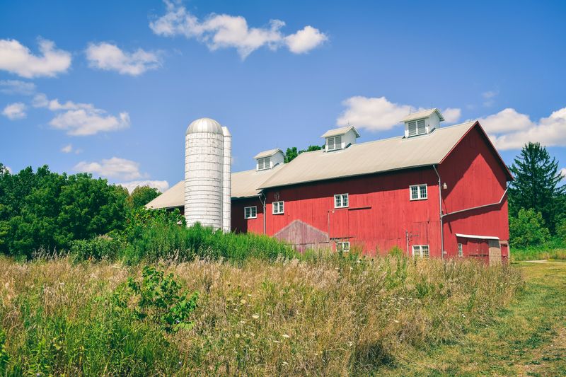 Organizing Community Barn Raisings and Work Parties
