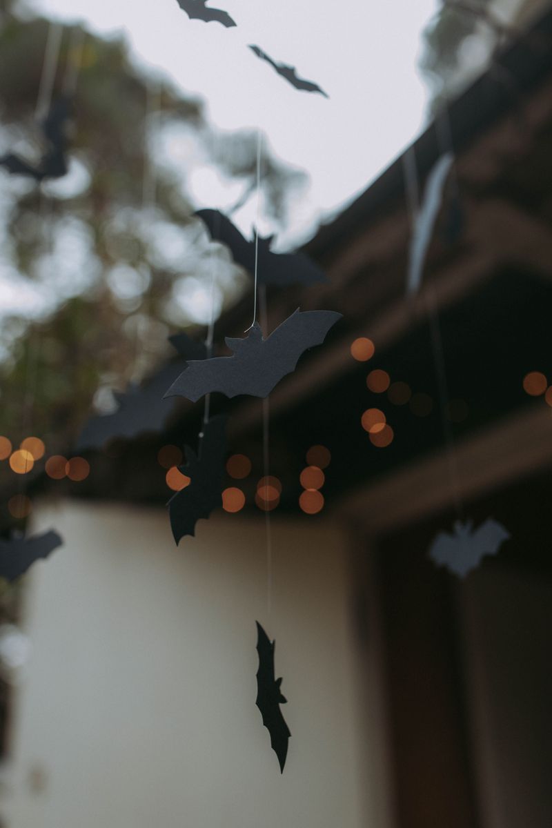 Paper Bats