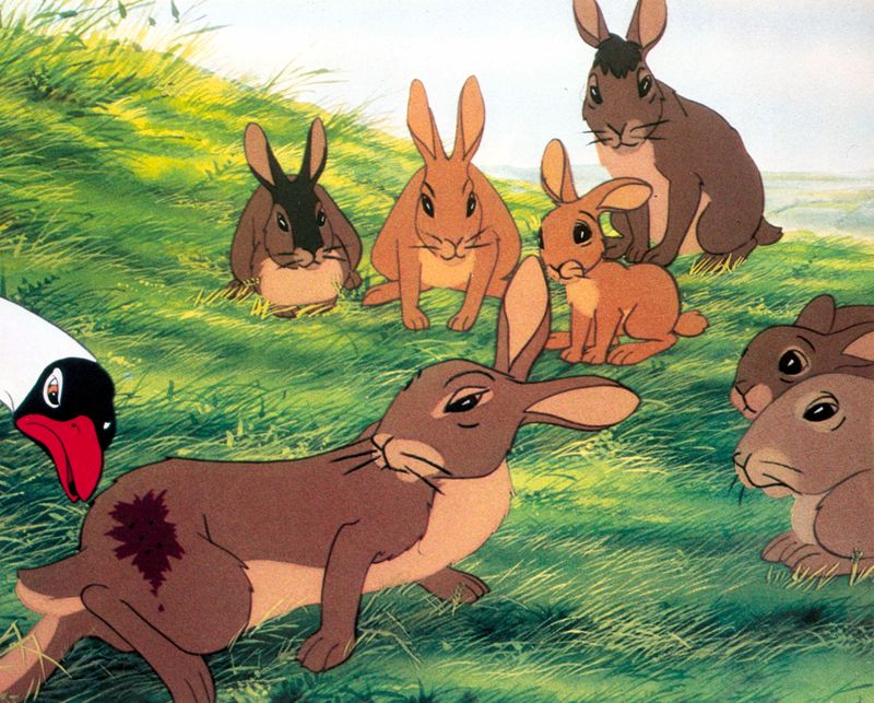 Watership Down (1978)